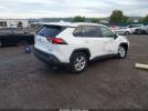 Toyota RAV4 Xle Image 6