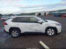 Toyota RAV4 Xle Image 11