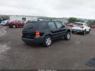 Ford Escape Image 4