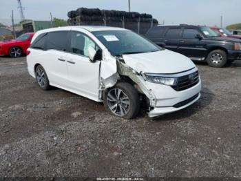  Salvage Honda Odyssey