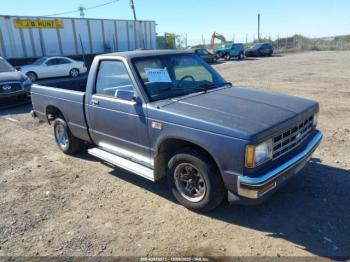  Salvage Chevrolet S Truck