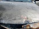 Dodge Charger Sxt Image 8