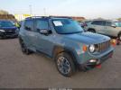 Jeep Renegade Trailhawk Image 1