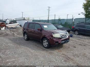  Salvage Honda Pilot