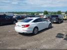 Honda Accord Lx Image 8