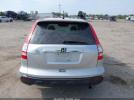 Honda CR-V Ex Image 7