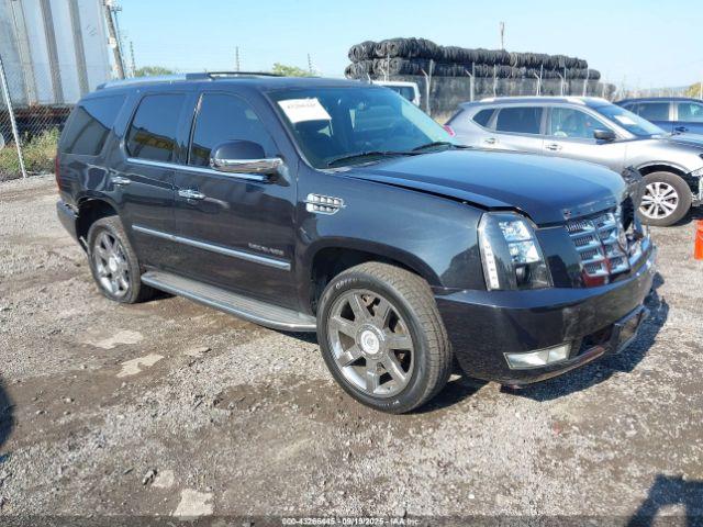  Salvage Cadillac Escalade