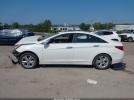 Hyundai SONATA Limited 2.0t Image 11