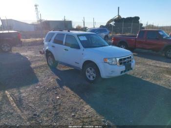  Salvage Ford Escape