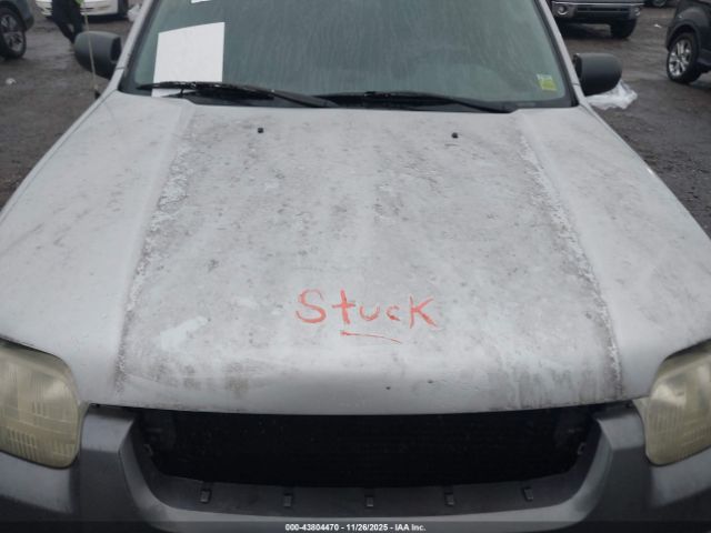 Ford Escape Xlt Image 6