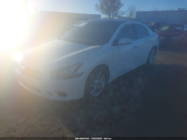 Nissan Maxima 3.5 Sv Image 9