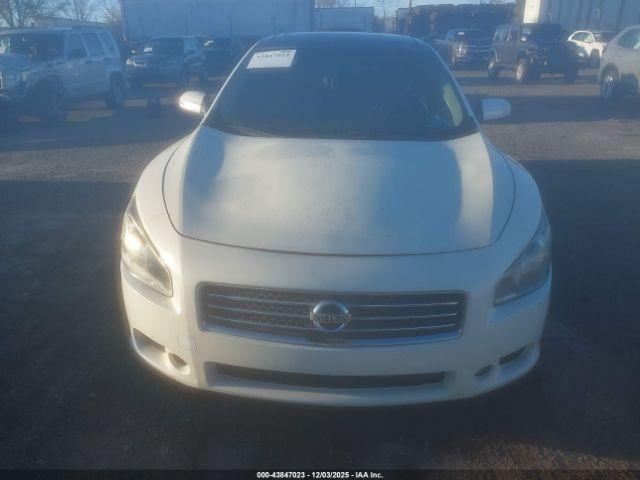 Nissan Maxima 3.5 Sv Image 2