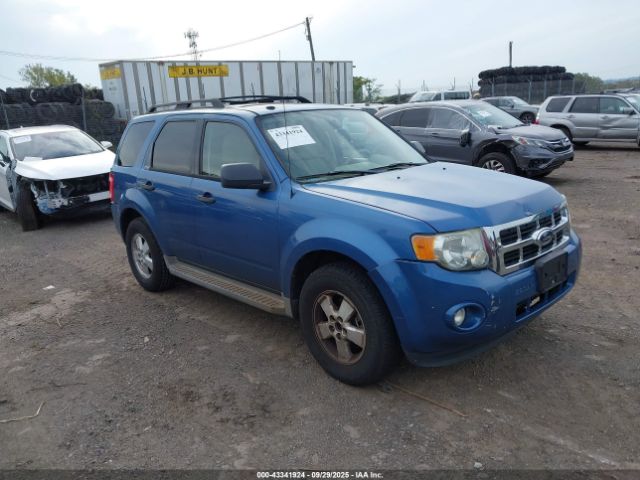 Ford Escape Xlt Image 1