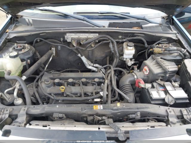 Ford Escape Xlt Image 7