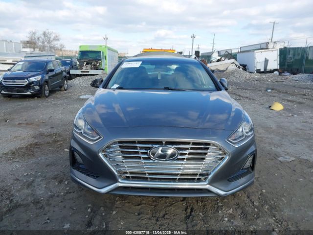 Hyundai SONATA Se Image 15