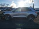 Ford Escape Se Image 14