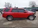 Toyota 4Runner Trail Image 15