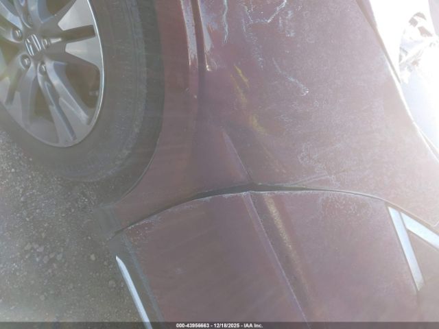 Honda Crosstour Ex-l V6 Image 2