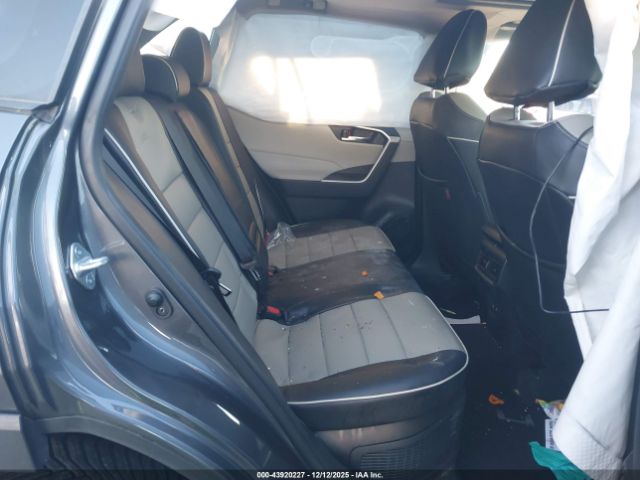 Toyota RAV4 Xle Image 3