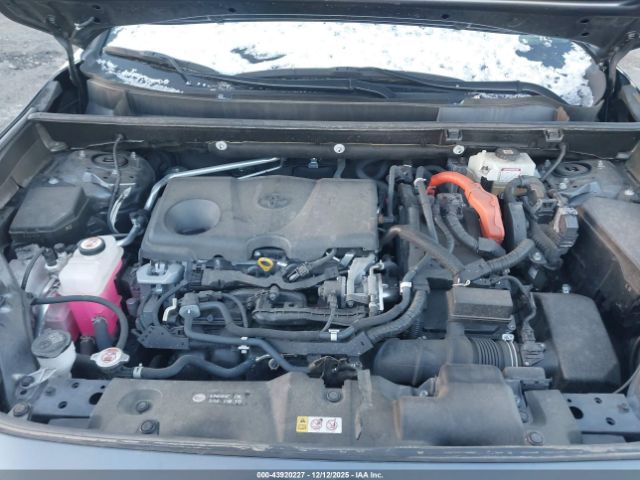 Toyota RAV4 Xle Image 15