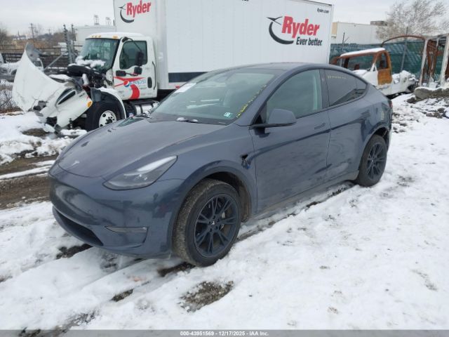 Tesla Model Y Image 9