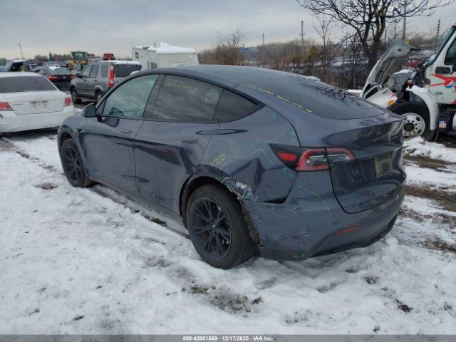 Tesla Model Y Image 14