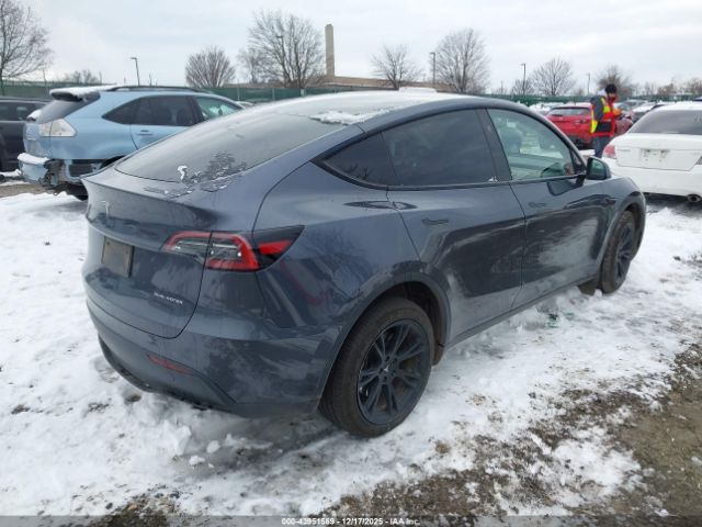 Tesla Model Y Image 12
