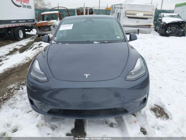 Tesla Model Y Image 6