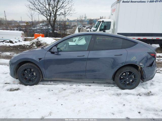 Tesla Model Y Image 15
