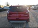 Ford Escape Titanium Image 14