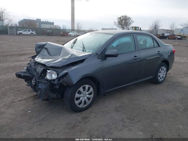 Toyota Corolla Le Image 2