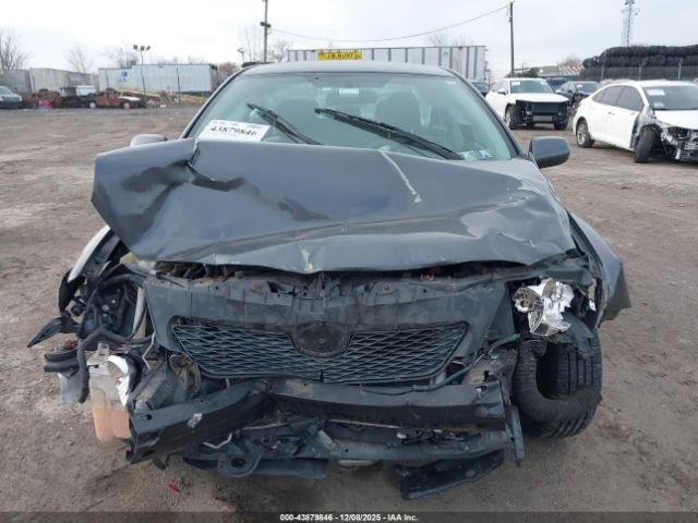 Toyota Corolla Le Image 11