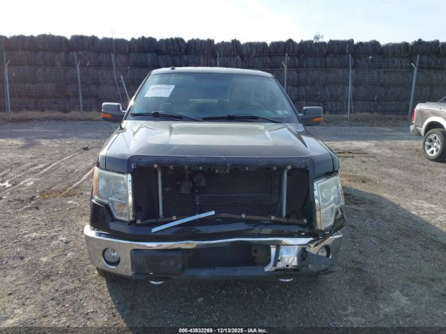 Ford F-150 Image 12