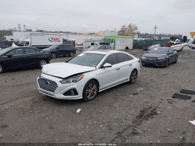 Hyundai SONATA Sport+ Image 12