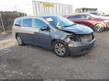  Salvage Honda Odyssey