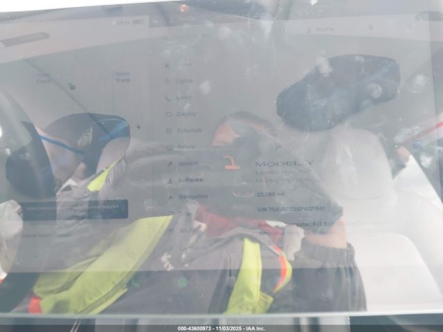 Tesla Model Y Image 12