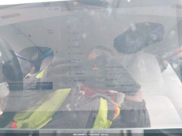 Tesla Model Y Image 12