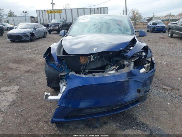 Tesla Model Y Image 11